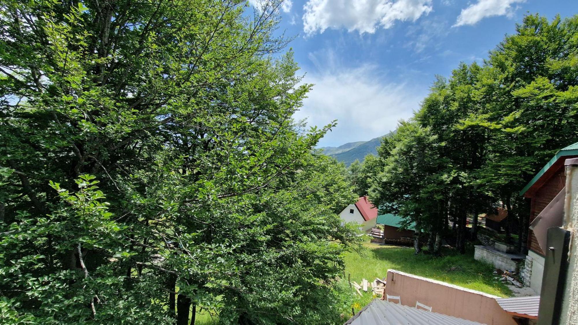 Gorska Vila Apartments Zabljak  Room photo